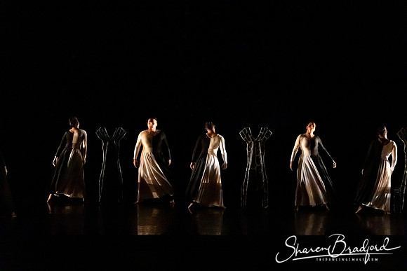 Luminous pc Sharen Bradford-40328
