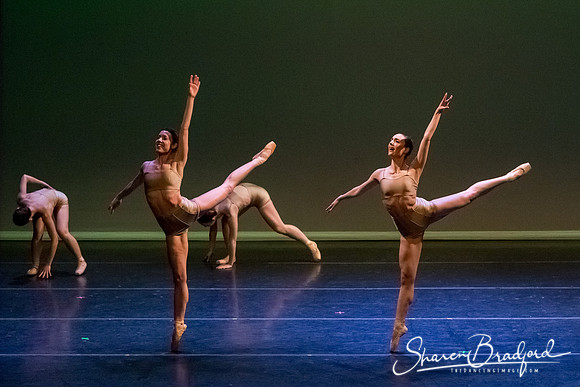 Ballet Dallas Seasons pc Sharen Bradford-1604