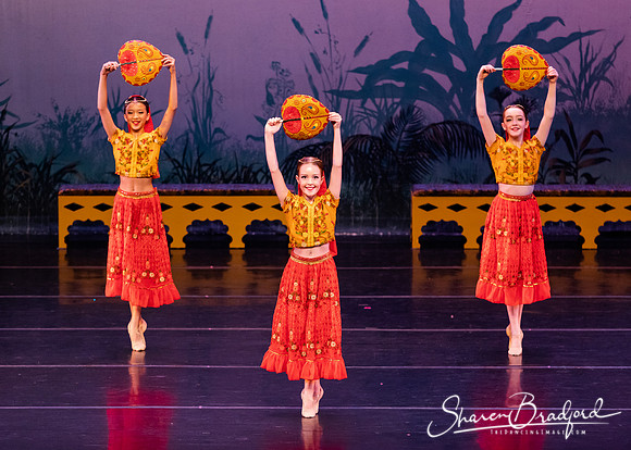 TDC La Bayadere pc Sharen Bradford-2869