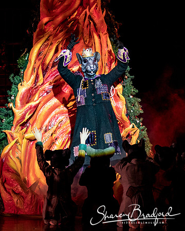 Nutcracker matinee pc Sharen Bradford-4767