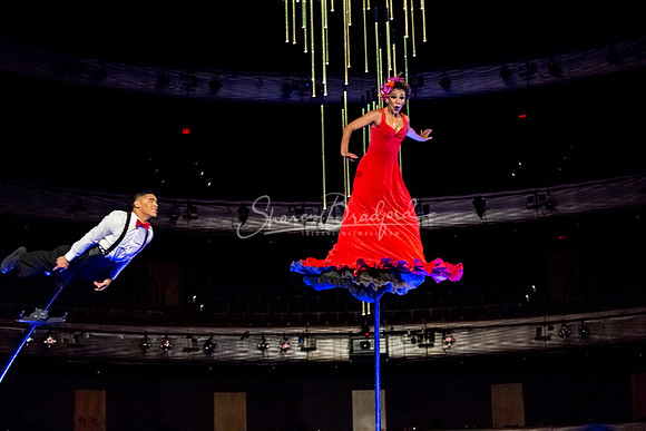 Swoon pc Sharen Bradford-8946