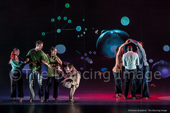 Motionhouse SCATTERED-0810