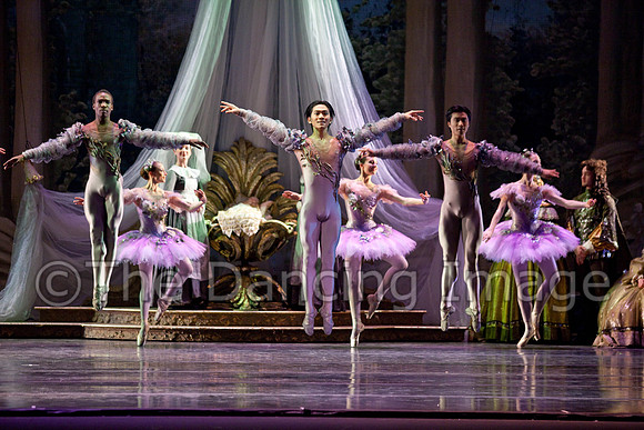 TB Sleeping Beauty Wed.-0061