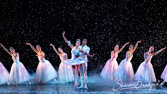 Nutcracker matinee pc Sharen Bradford-5243