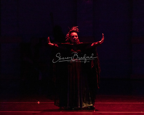Ballet NTX Sleeping Beauty pc Sharen Bradford-1573