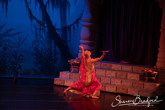 TDC La Bayadere pc Sharen Bradford-2644