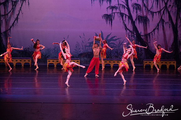 TDC La Bayadere pc Sharen Bradford-3017