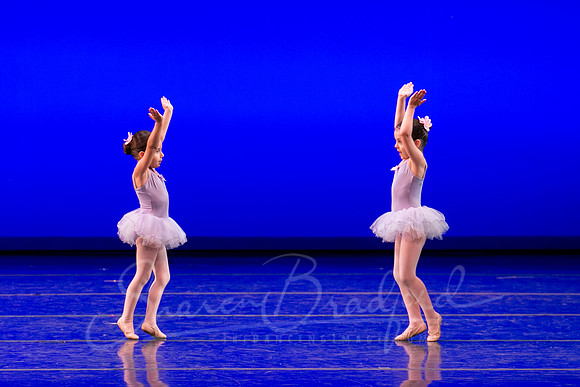 Water Lillies-0352