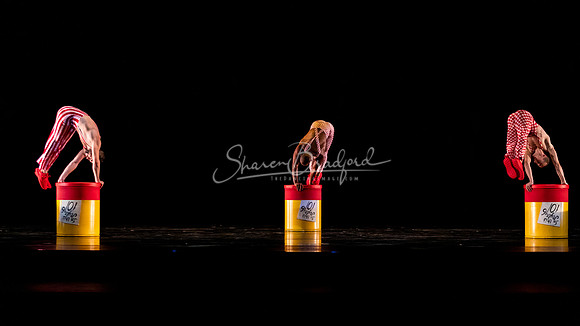 MOMIX Alice pc Sharen Bradford-0574