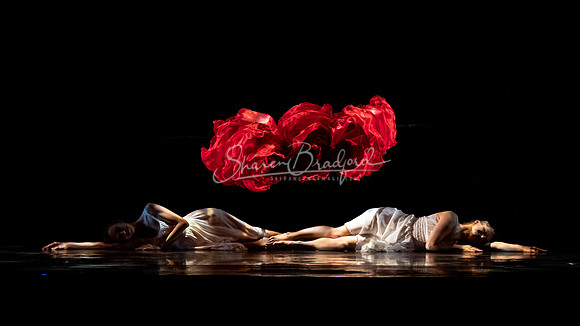 MOMIX Alice pc Sharen Bradford-1162