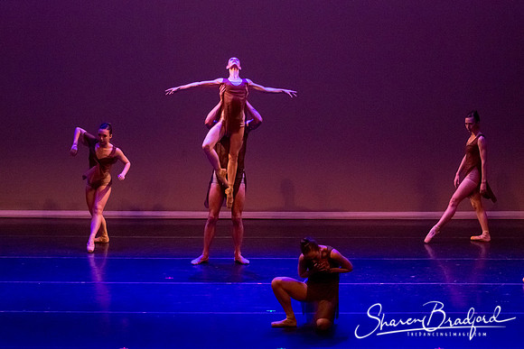 Ballet Dallas Seasons pc Sharen Bradford-1471
