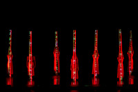 Alchemia photo by Sharen Bradford-0046