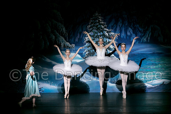 Land of Snow-5959
