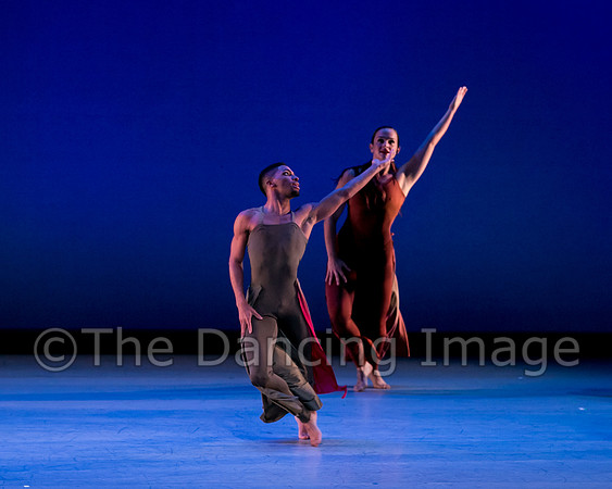 Houston METdance-3115