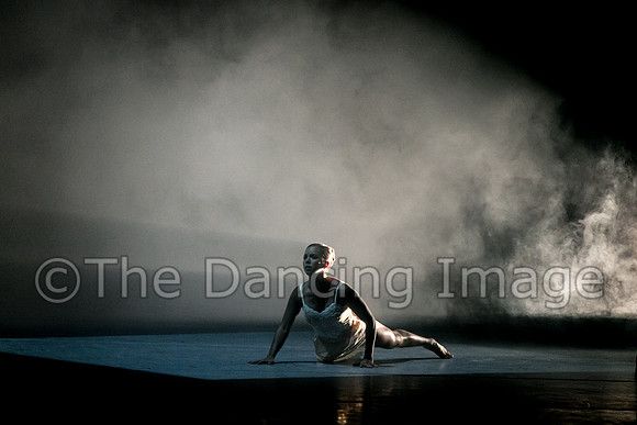 A.J. Garcia_Inevitable Displacement-0489