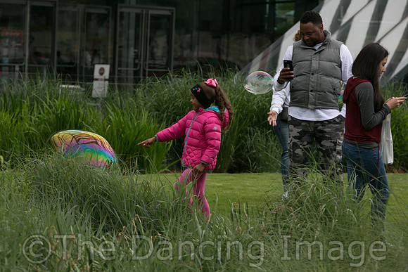 MJS_5249