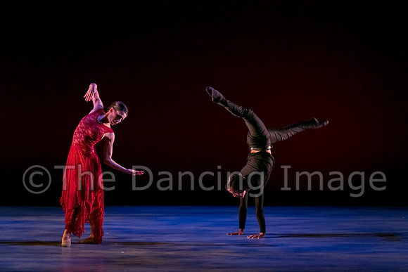 Chado Danse-2848