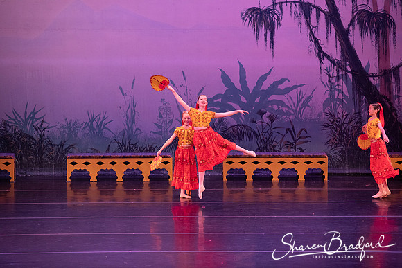 TDC La Bayadere pc Sharen Bradford-2886