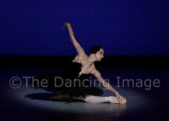 Olga Pavlova_The Dying Swan-3945