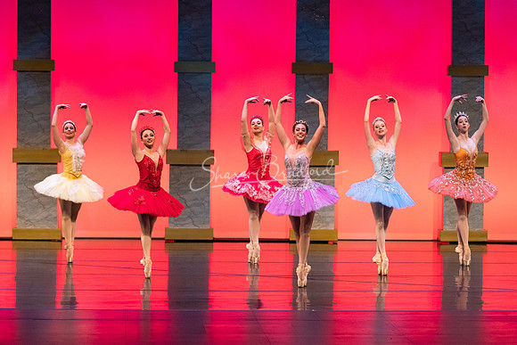 Ballet NTX Sleeping Beauty pc Sharen Bradford-0107