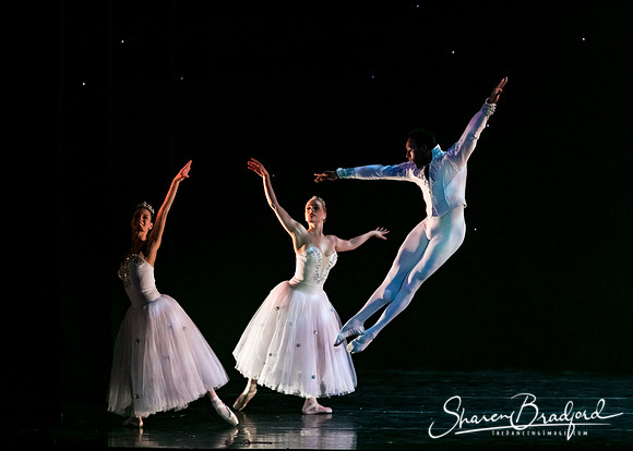 Nutcracker eve pc Sharen Bradford-6756