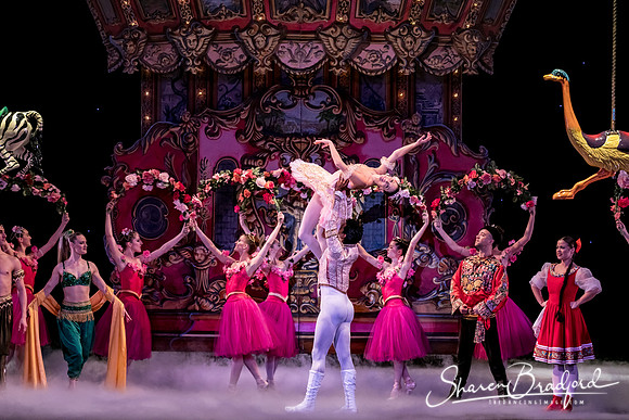 Nutcracker matinee pc Sharen Bradford-5306