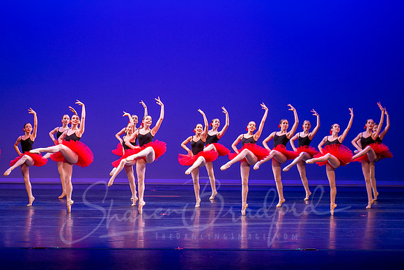Paquita-0139