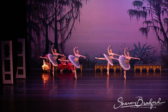 TDC La Bayadere pc Sharen Bradford-3085