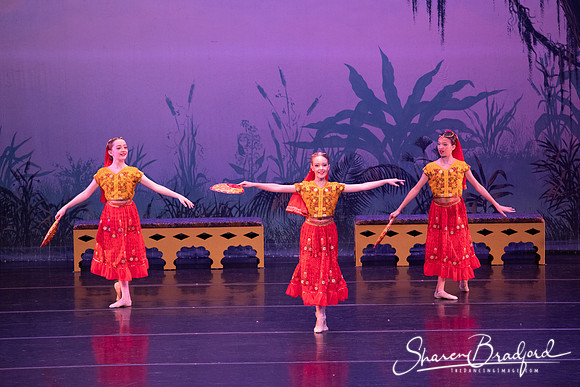 TDC La Bayadere pc Sharen Bradford-2894