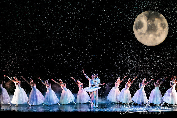 Nutcracker eve pc Sharen Bradford-6883