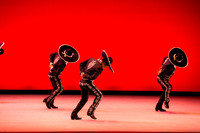 Mosaic Dance Project-0322