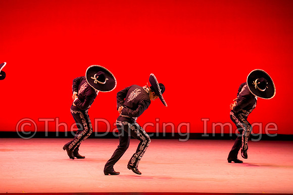 Mosaic Dance Project-0322