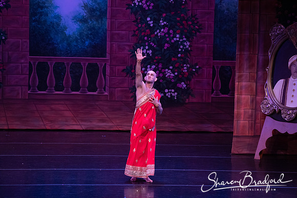 TDC La Bayadere pc Sharen Bradford-2793