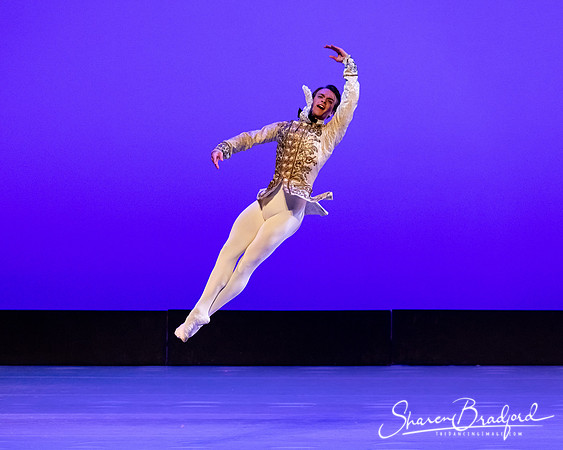 TBT Sleeping Beauty Pas pc Sharen Bradford-1484