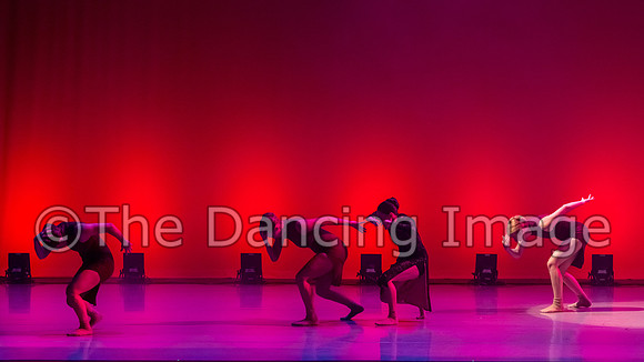 IMG_1281