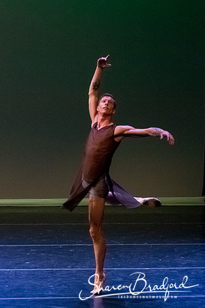 Ballet Dallas Seasons pc Sharen Bradford-1570