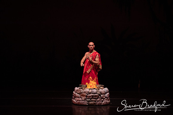 TDC La Bayadere pc Sharen Bradford-2654