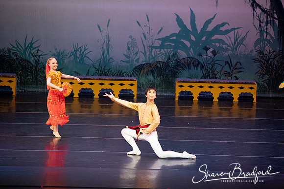 TDC La Bayadere pc Sharen Bradford-2858