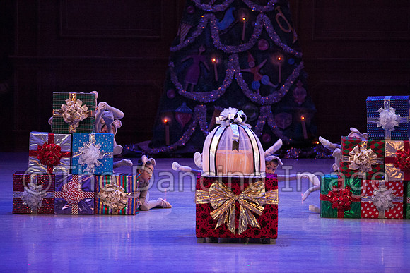 IMG_0585