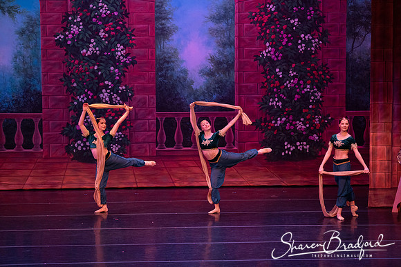 TDC La Bayadere pc Sharen Bradford-2752