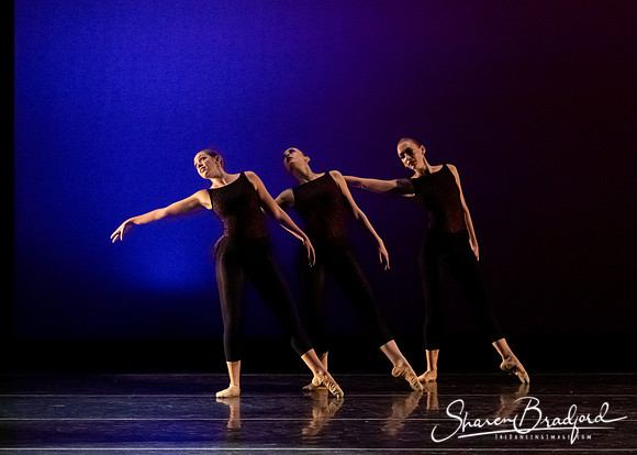 Lie Within Crimson pc Sharen Bradford-1242