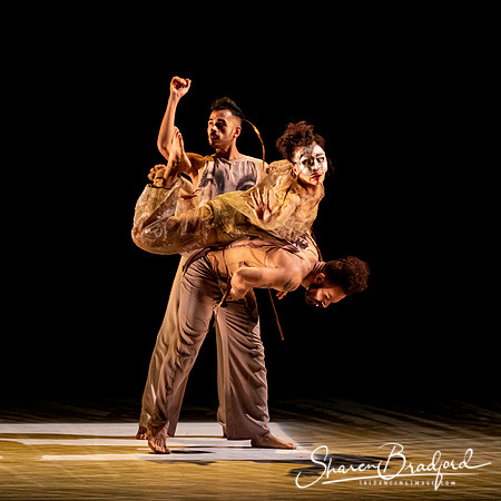 Delfos Danza pc Sharen Bradford-0383