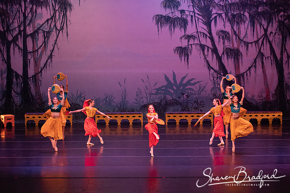 TDC La Bayadere pc Sharen Bradford-2866