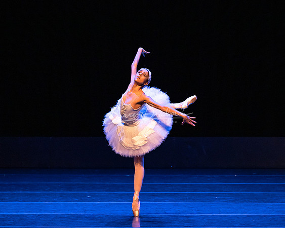 Dying Swan pc Sharen Bradford-1239
