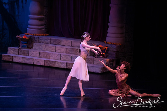 TDC La Bayadere pc Sharen Bradford-2557