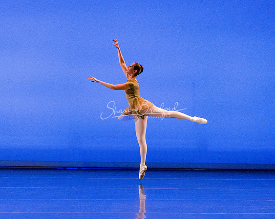 BNT Petit Symphonie pc Sharen Bradford-0304