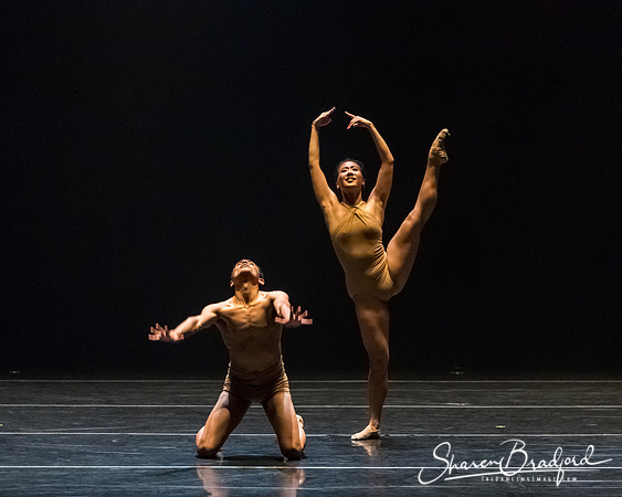 Bach 25_pc Sharen Bradford-2-48