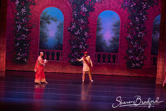 TDC La Bayadere pc Sharen Bradford-2806
