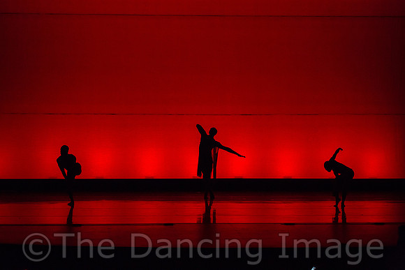 Lula Washington Dance-1266