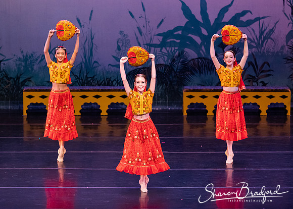 TDC La Bayadere pc Sharen Bradford-2868